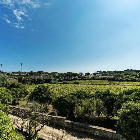 Tenuta Calitto Wine E Θέρετρο