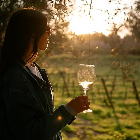 Θέρετρο Tenuta Calitto Wine E