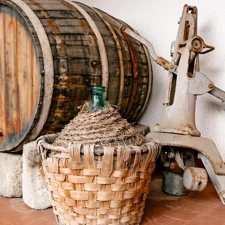 Θέρετρο Tenuta Calitto Wine E Ίσκια